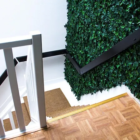 Little Duke 3* דן בוש