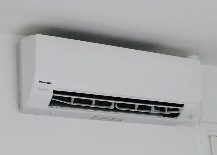 Little Duke Ден Бош