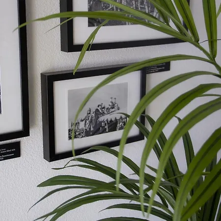 Szálloda Little Duke 3*